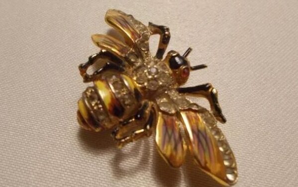 Insects in the works of jewelers