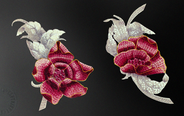 Two peony flowers, open and closed, make up the Pivoine set (1937) and are a virtuoso example of Serti Mysteriex technology