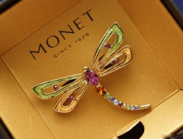 Brooch dragonfly