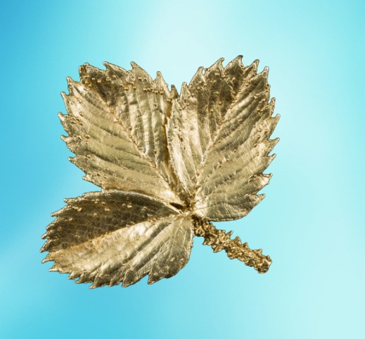 Silver Leaf Strawberry