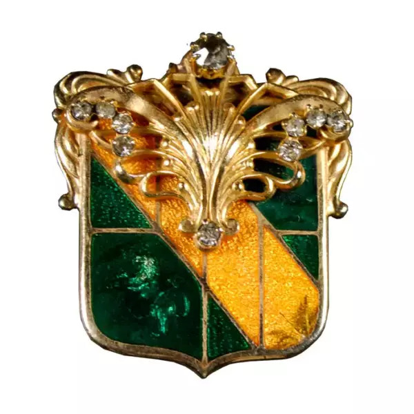 Vintage Accessocraft Society Pinю