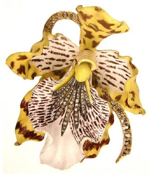 Odontoglossum Wyattianum Orchid brooch Paulding Farnham design gold enamel diamonds Tiffany Co 1889.