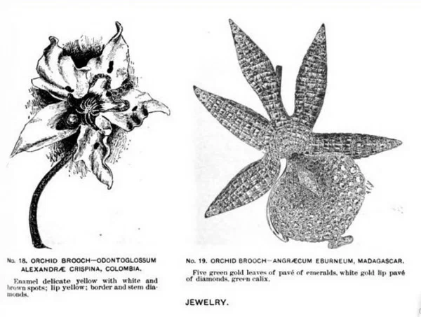 USA 1891. Reports by the United States Commissioners at the Paris Worlds Fair. Washington D.C. Government Printing Office p. 386.